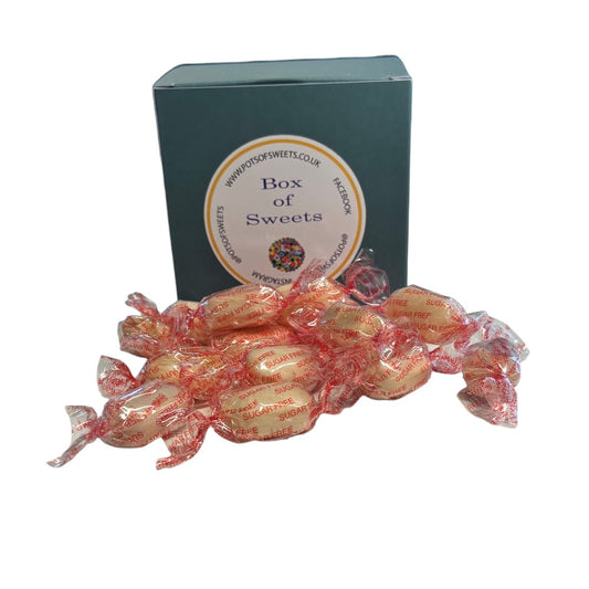 300g Square Box of Sugar Free Mintoes