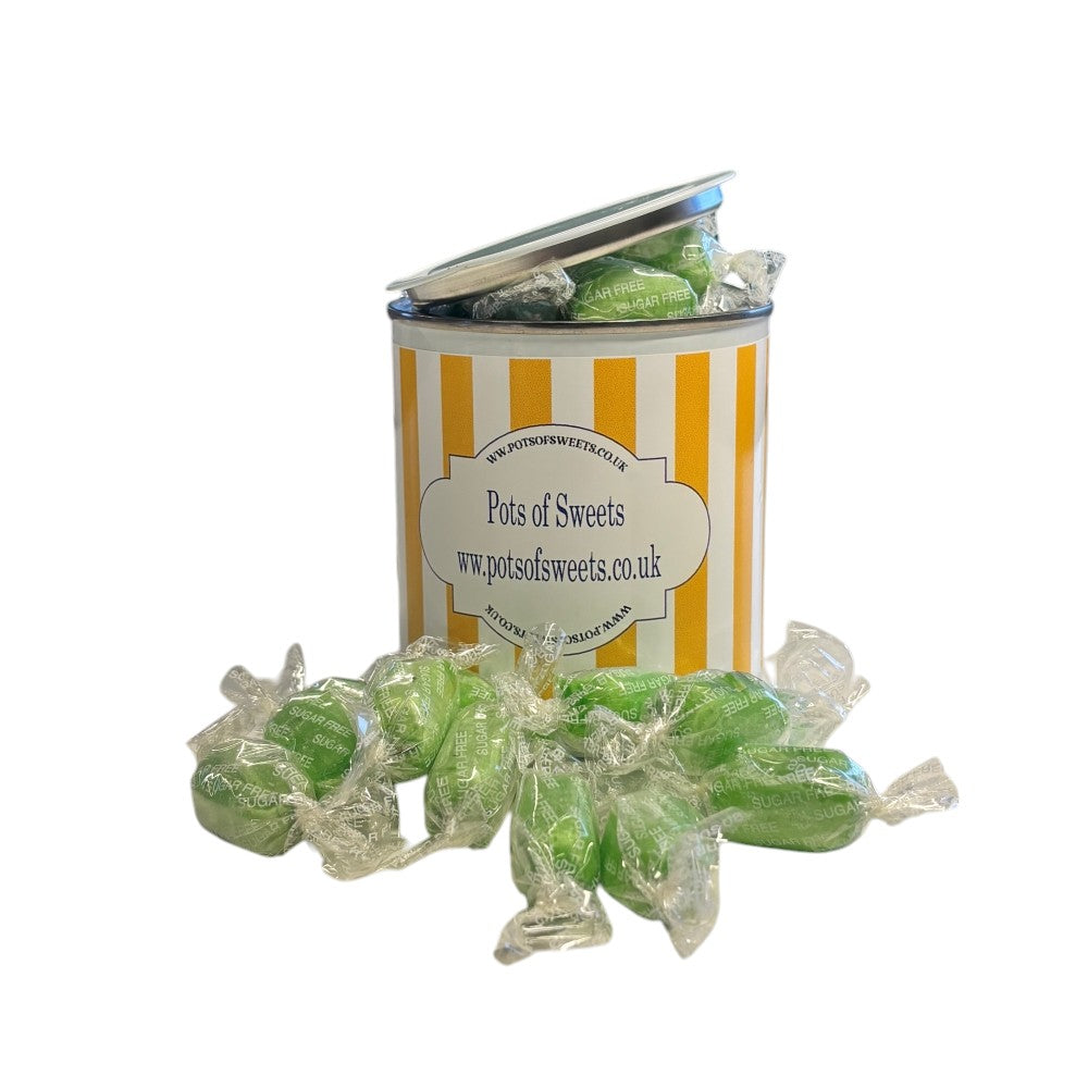 250g Paint Pot Tin of Sugar Free Chocolate Limes Sweets