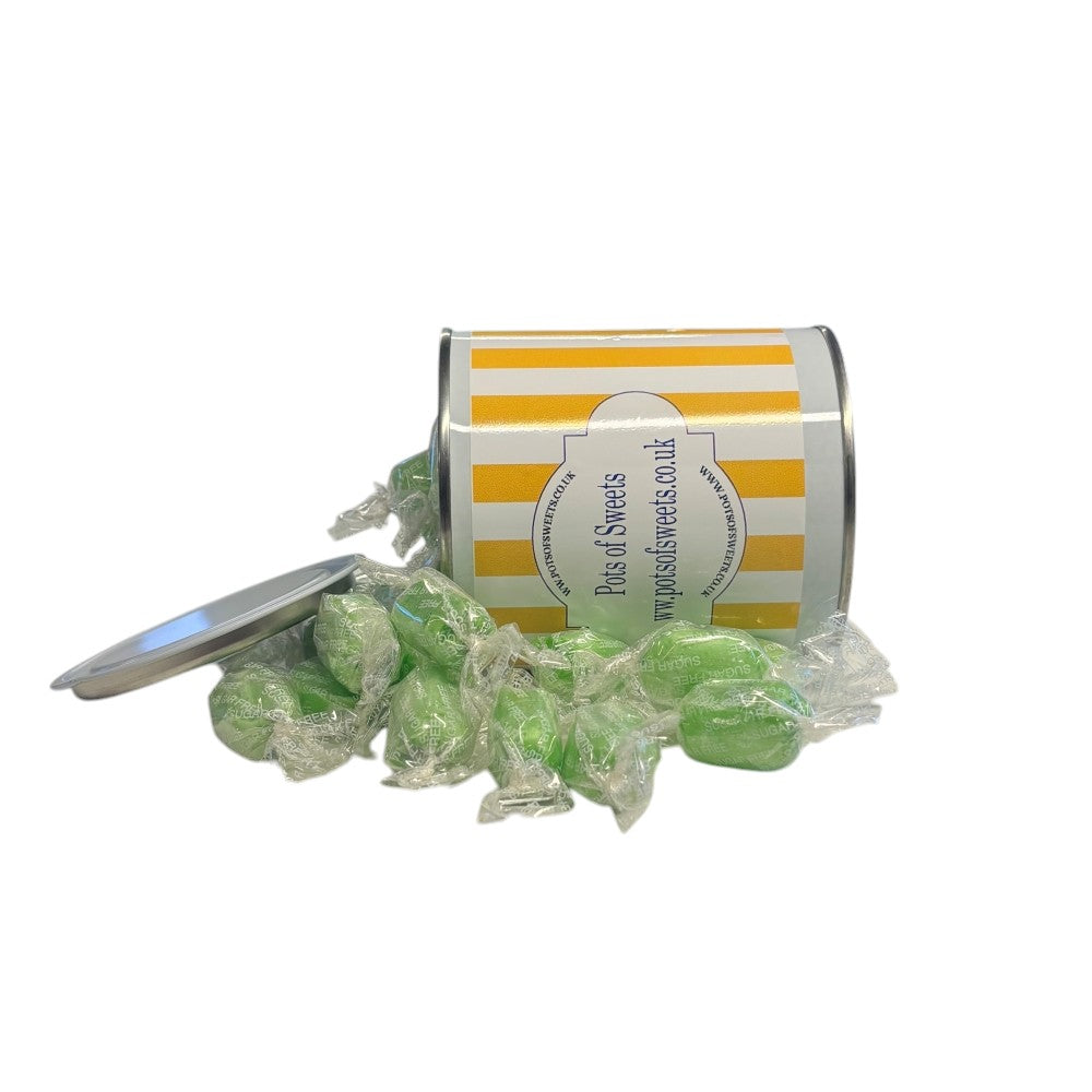 250g Paint Pot Tin of Sugar Free Chocolate Limes Sweets