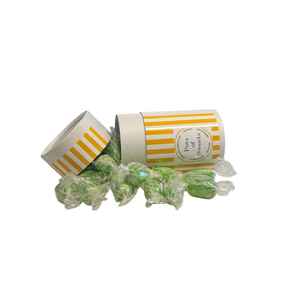200g Tube of Sugar Free Chocolate Limes Sweets