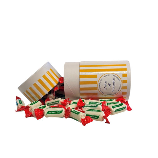 200g Tube of Sugar Free Spearmint Chews