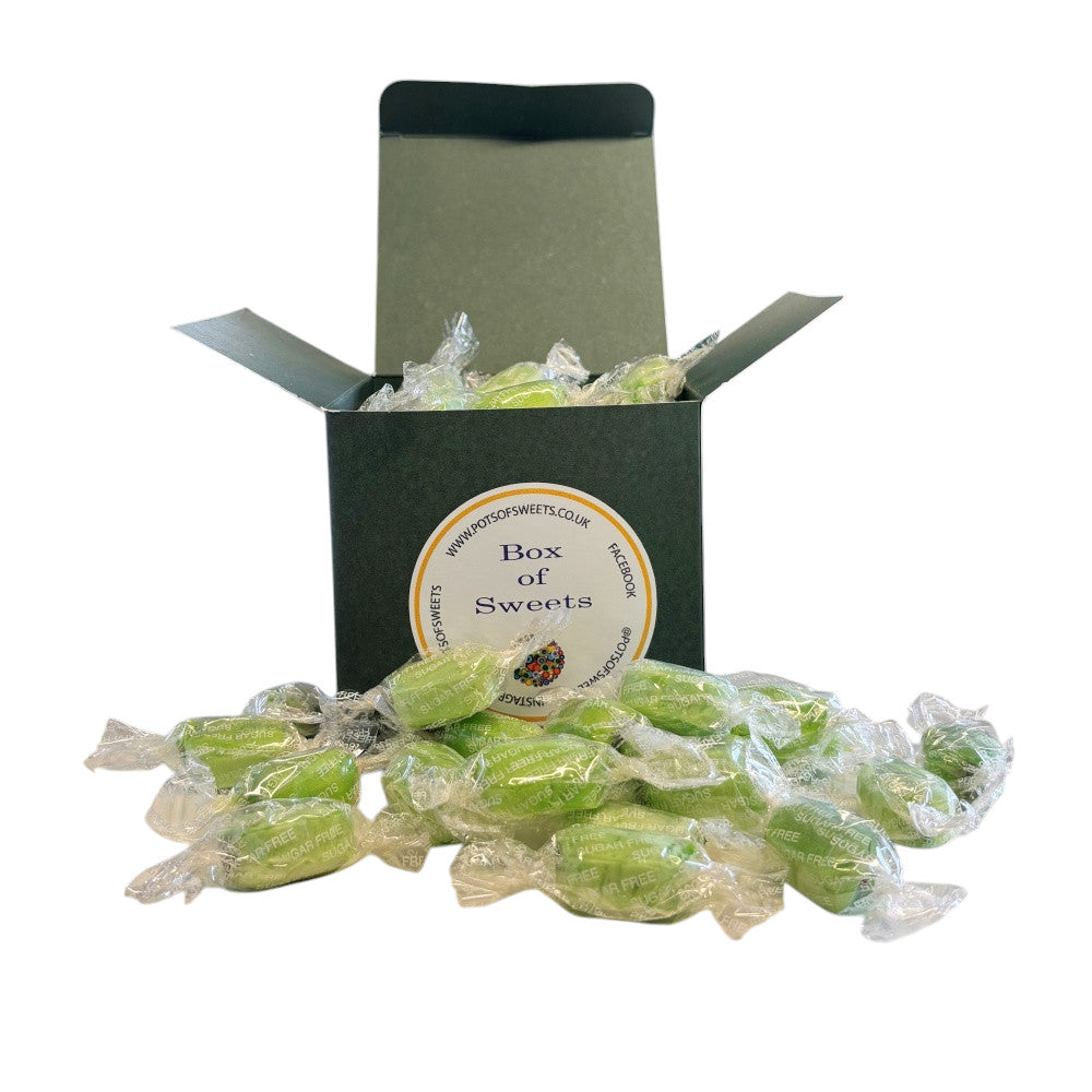 300g Square Box of Sugar Free Chocolate Limes Sweets
