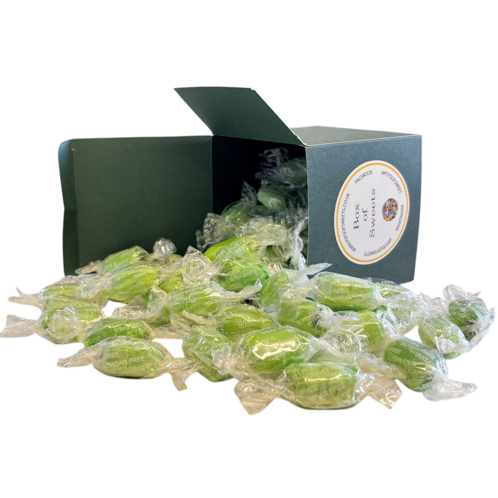 300g Square Box of Sugar Free Chocolate Limes Sweets