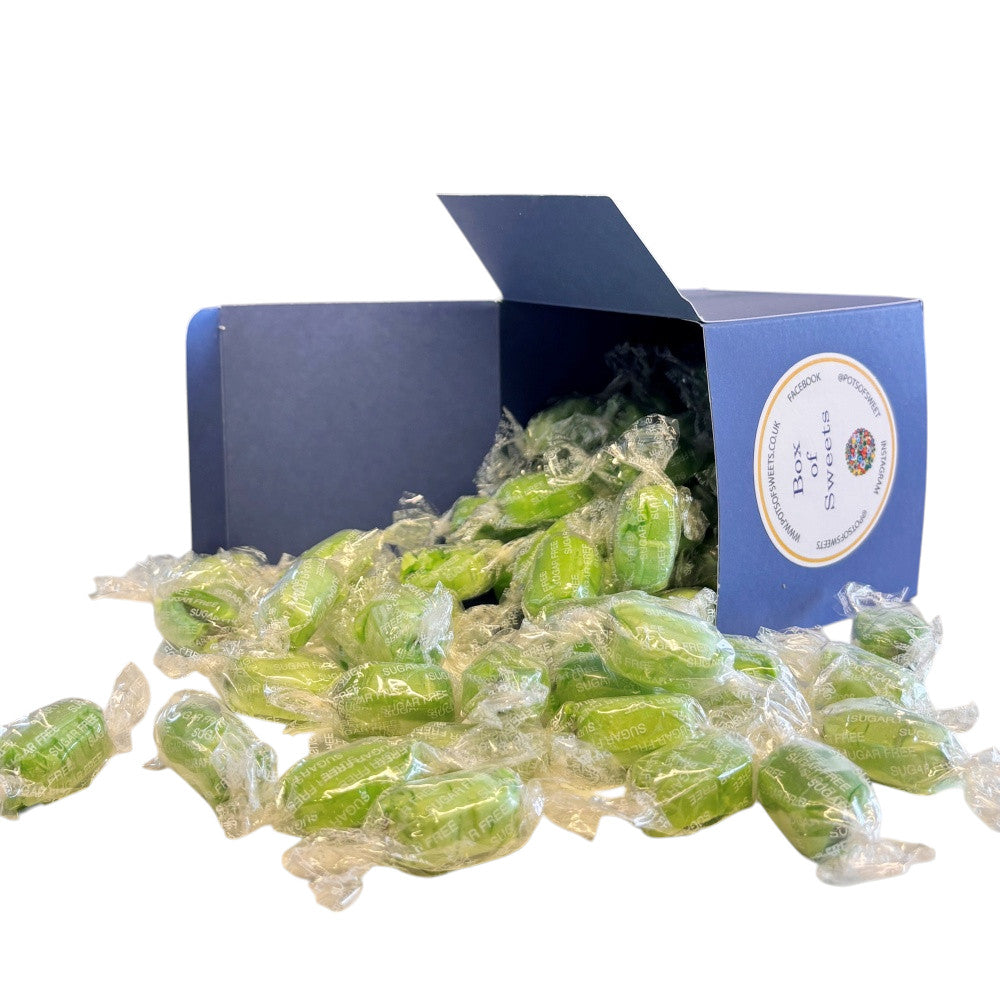 300g Square Box of Sugar Free Chocolate Limes Sweets