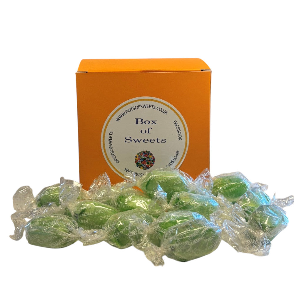 300g Square Box of Sugar Free Chocolate Limes Sweets