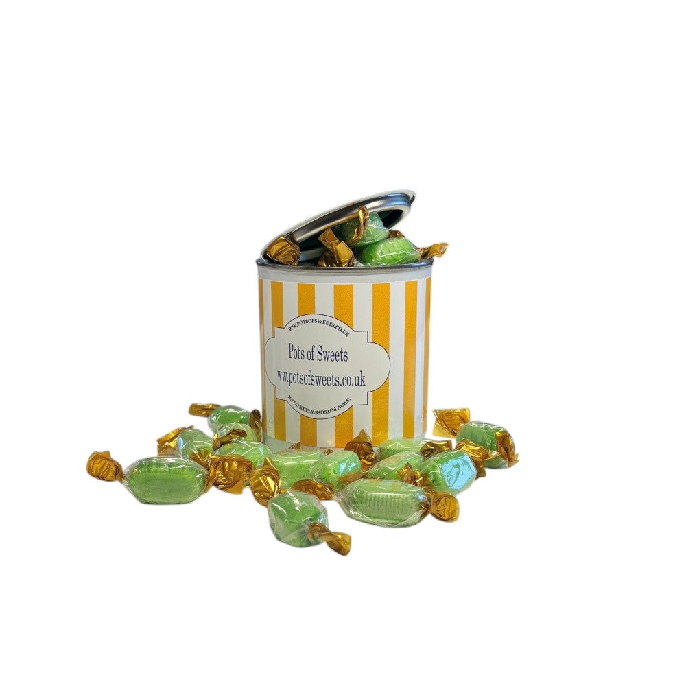 250g Paint Pot Tin of Hard Boiled Chocolate Limes Sweets