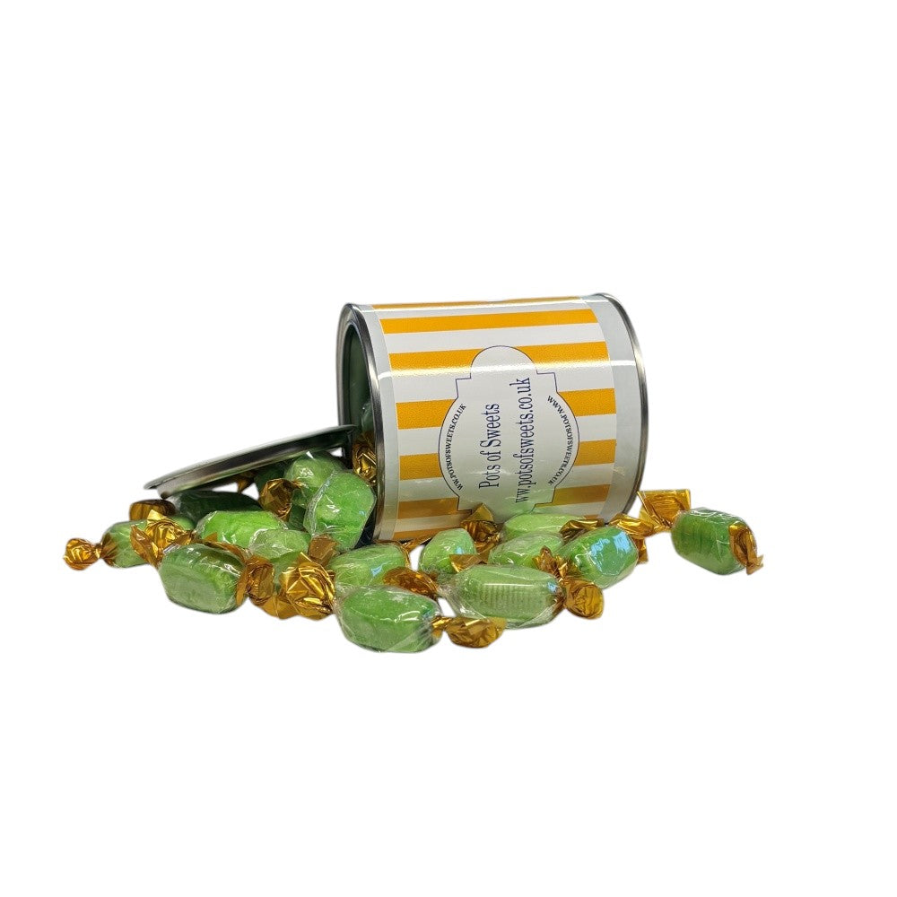 250g Paint Pot Tin of Hard Boiled Chocolate Limes Sweets
