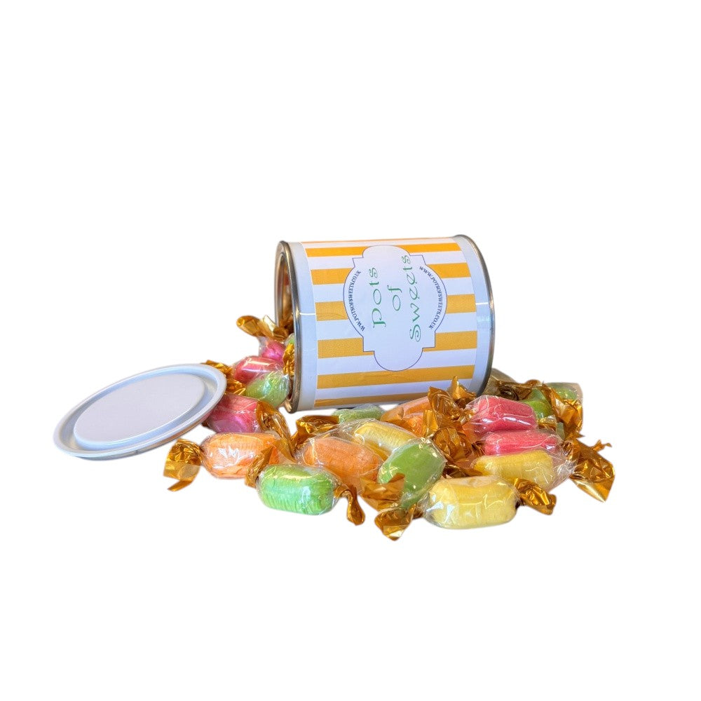 250g Paint Pot Tin of Chocolate Fruits Sweets