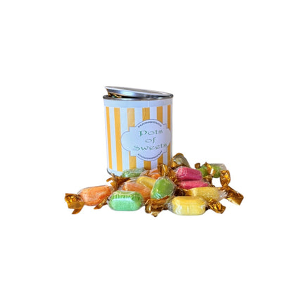 250g Paint Pot Tin of Chocolate Fruits Sweets