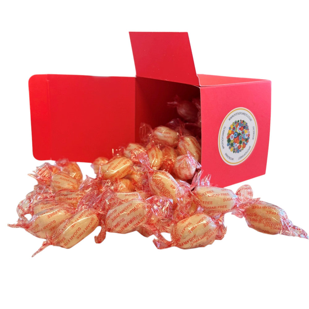 300g Square Box of Sugar Free Mintoes