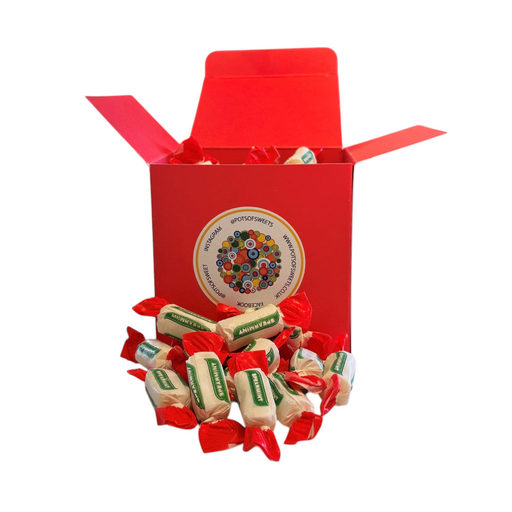 300g Square Box of Sugar Free Spearmint Chews