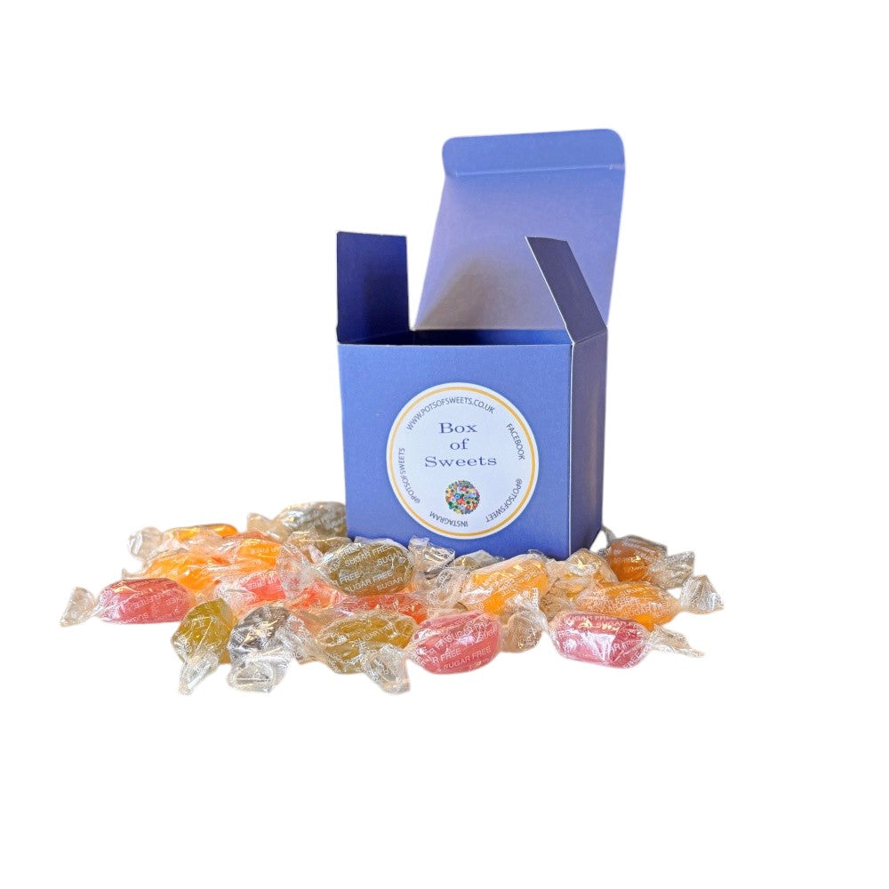300g Square Box of Sugar Free Fruit Drops