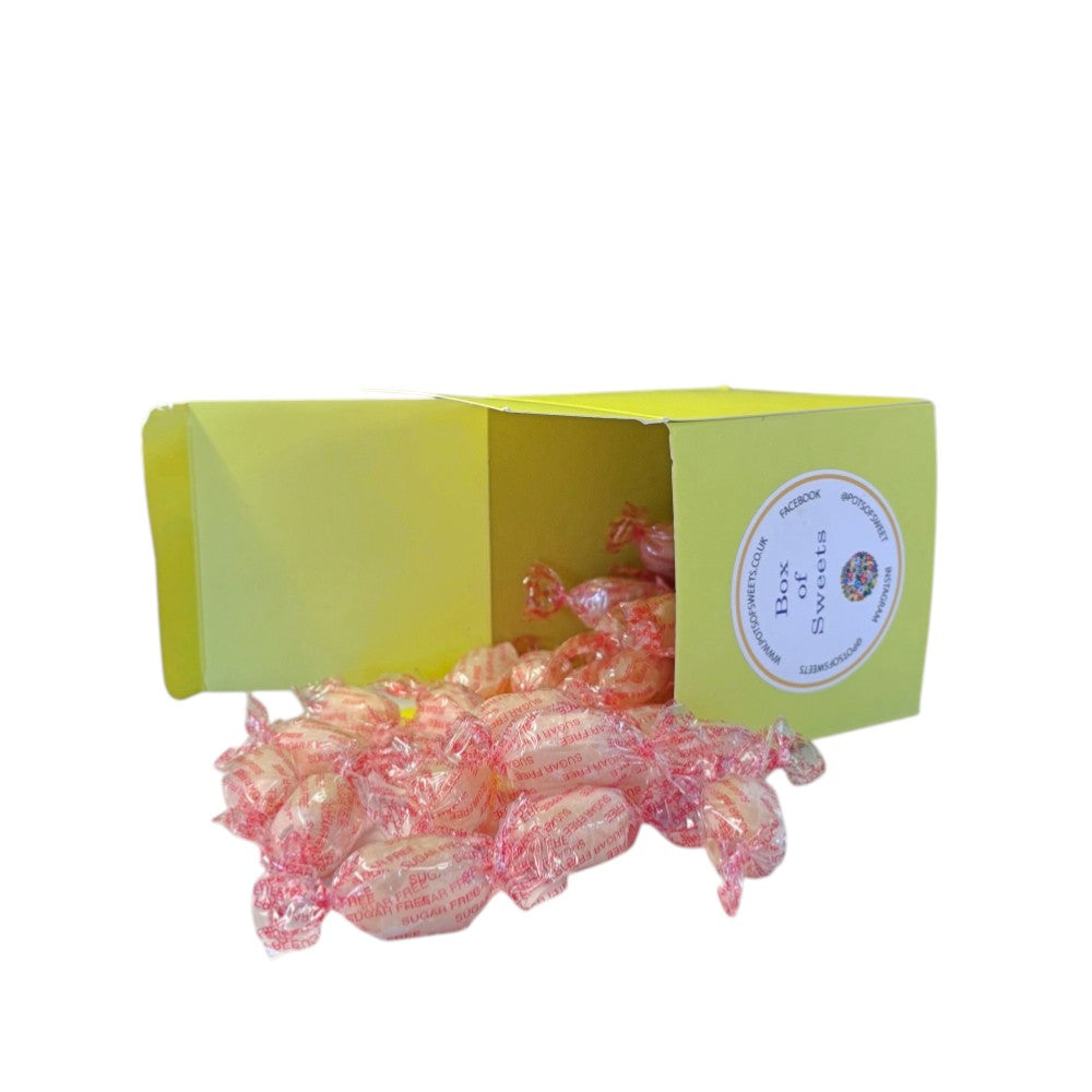 300g Square Box of Sugar Free Mintoes