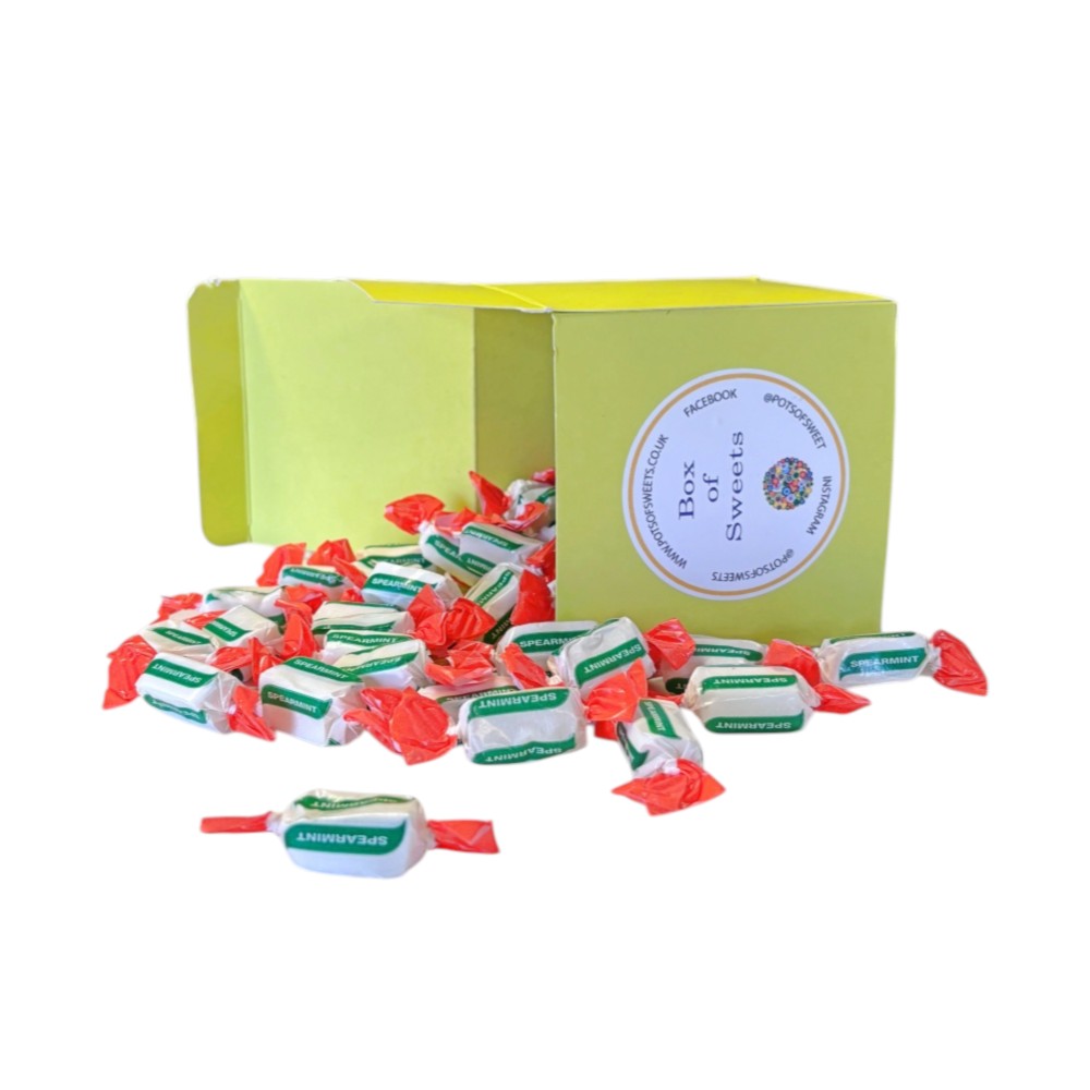 300g Square Box of Sugar Free Spearmint Chews