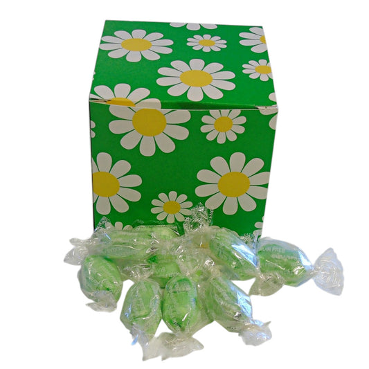 300g Square Flower Pattern Box of Sugar Free Chocolate Limes Sweets