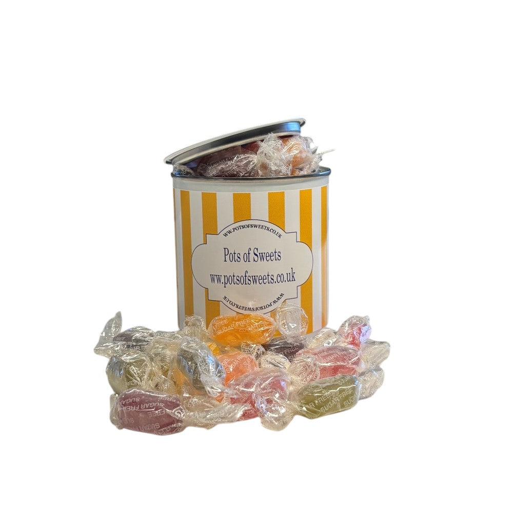250g Paint Pot Tin of Sugar Free Fruit Drops