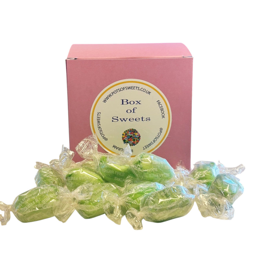 300g Square Box of Sugar Free Chocolate Limes Sweets